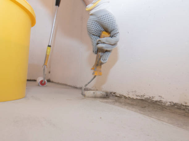 Best Pest Control for Multi-Family Homes  in Independence, MN